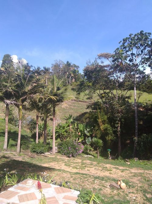 Finca en  Arriendo en Guamito, La ceja - Miniatura 14