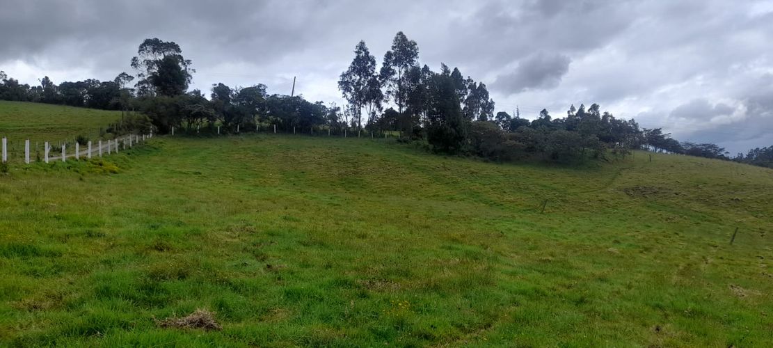 Finca en  Venta en Sucre oriental, Chiquinquirá - Miniatura 2