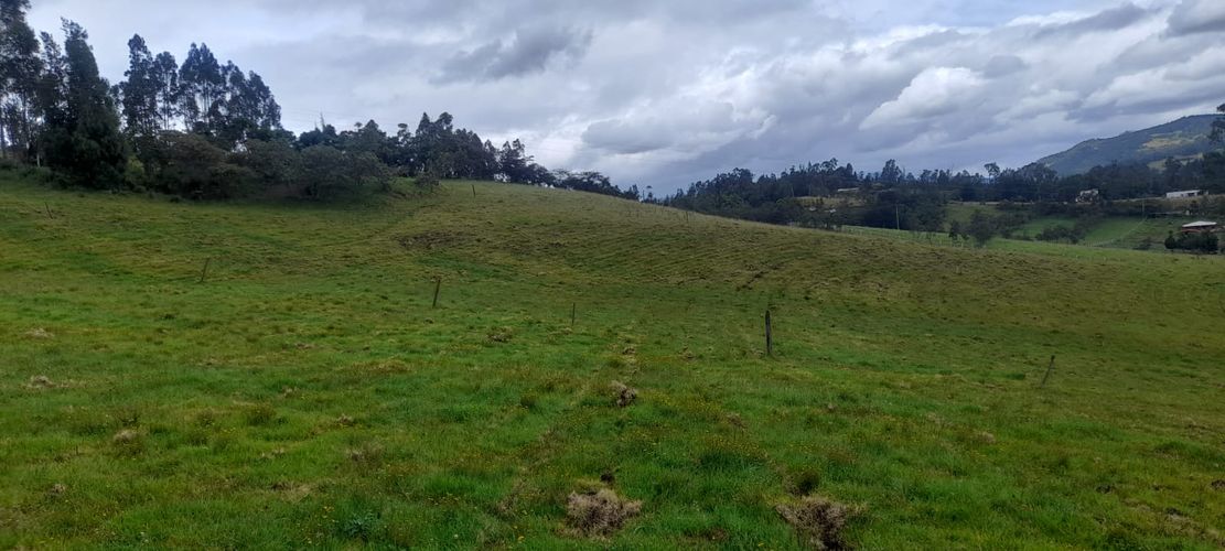 Finca en  Venta en Sucre oriental, Chiquinquirá - Miniatura 11