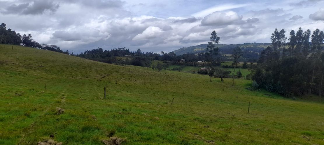 Finca en  Venta en Sucre oriental, Chiquinquirá - Miniatura 16