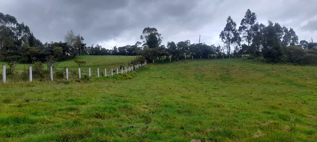 Finca en  Venta en Sucre oriental, Chiquinquirá - Miniatura 17