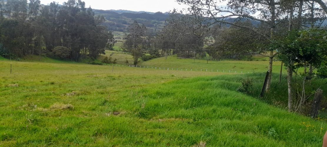 Finca en  Venta en Sucre oriental, Chiquinquirá - Miniatura 18