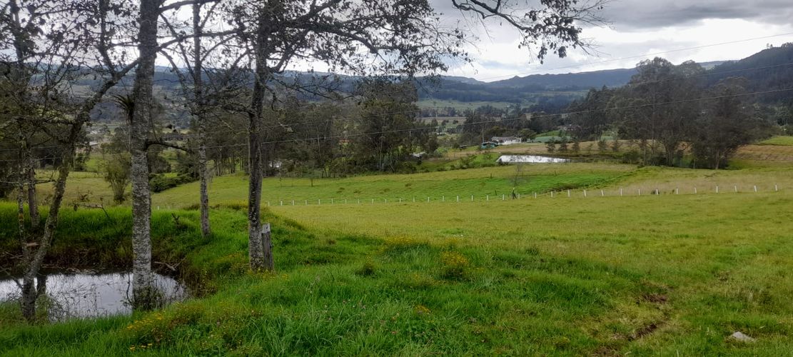 Finca en  Venta en Sucre oriental, Chiquinquirá - Miniatura 19