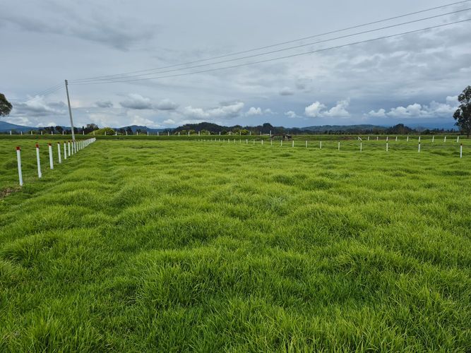 Finca en  Venta en Sucre oriental, Chiquinquirá - Miniatura 20
