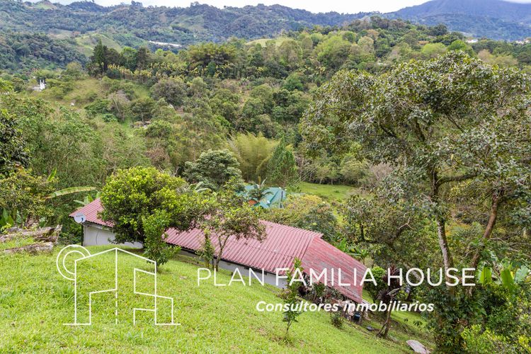 Finca en  Venta en San juan, La vega - Miniatura 5