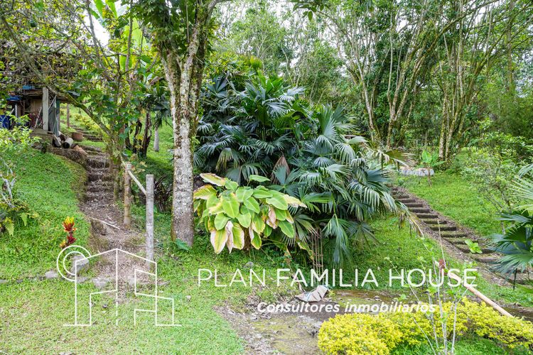 Finca en  Venta en San juan, La vega - Miniatura 10