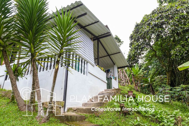 Finca en  Venta en San juan, La vega - Miniatura 11