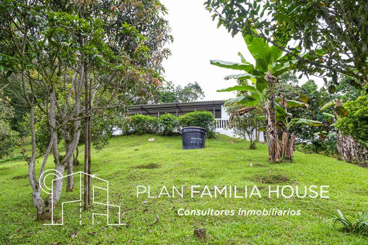 Finca en  Venta en San juan, La vega - Miniatura 12