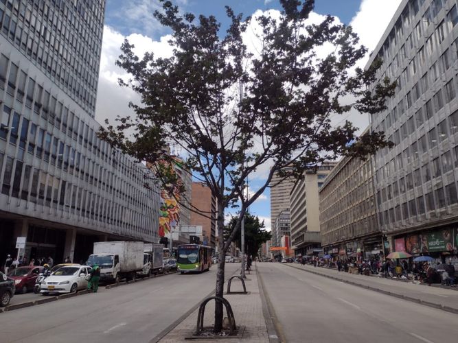 Oficina en Venta en La candelaria, Bogotá - Miniatura 2