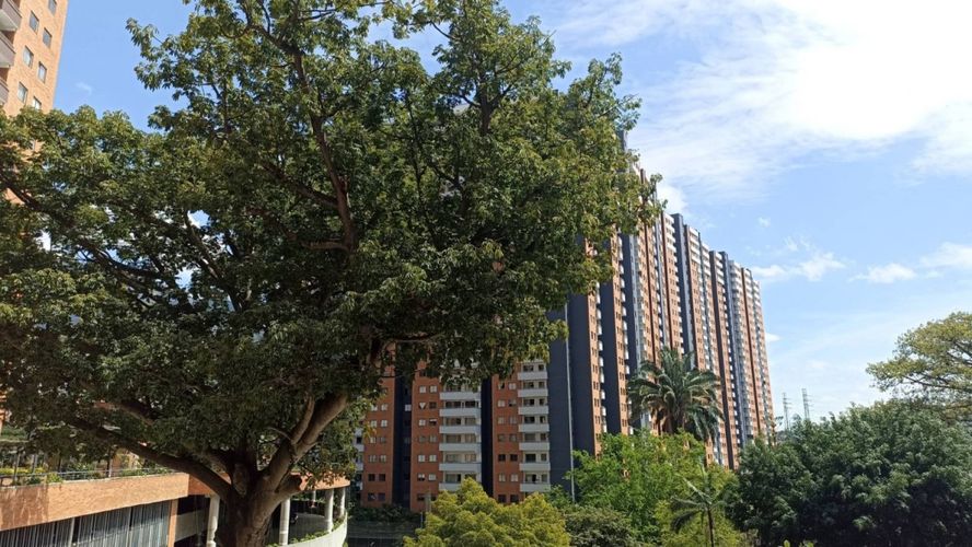 Apartamento en  Venta en Niquia, Bello - Miniatura 9