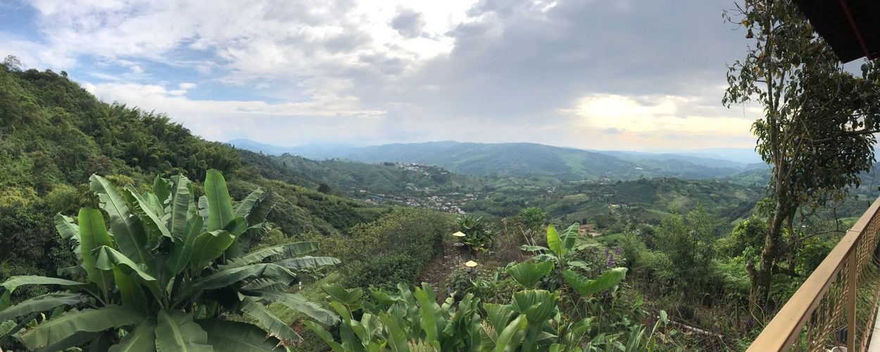 Finca en  Venta en San peregrino, Manizales - Imagen 1