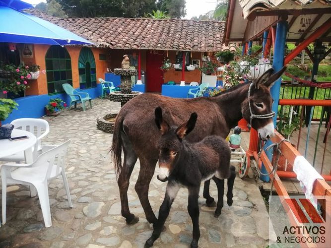 Finca en venta en El salado, Guarne - Miniatura 3