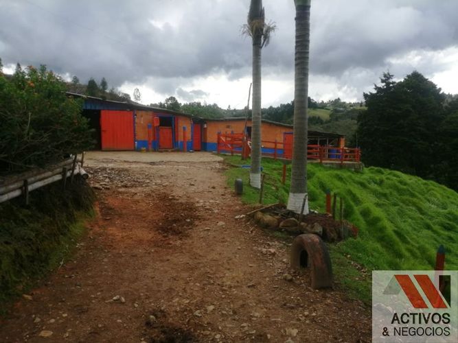 Finca en venta en El salado, Guarne - Miniatura 4