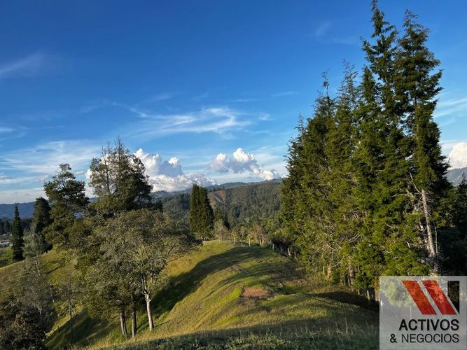 Finca en venta en El salado, Guarne - Miniatura 15