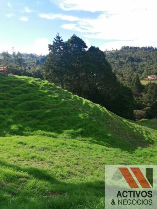 Finca en venta en El salado, Guarne - Miniatura 18