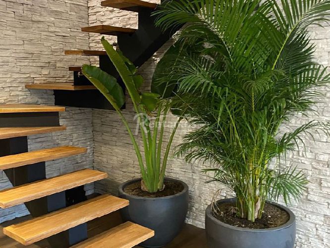 Apartamento en Venta en Provenza, Medellín - Miniatura 8