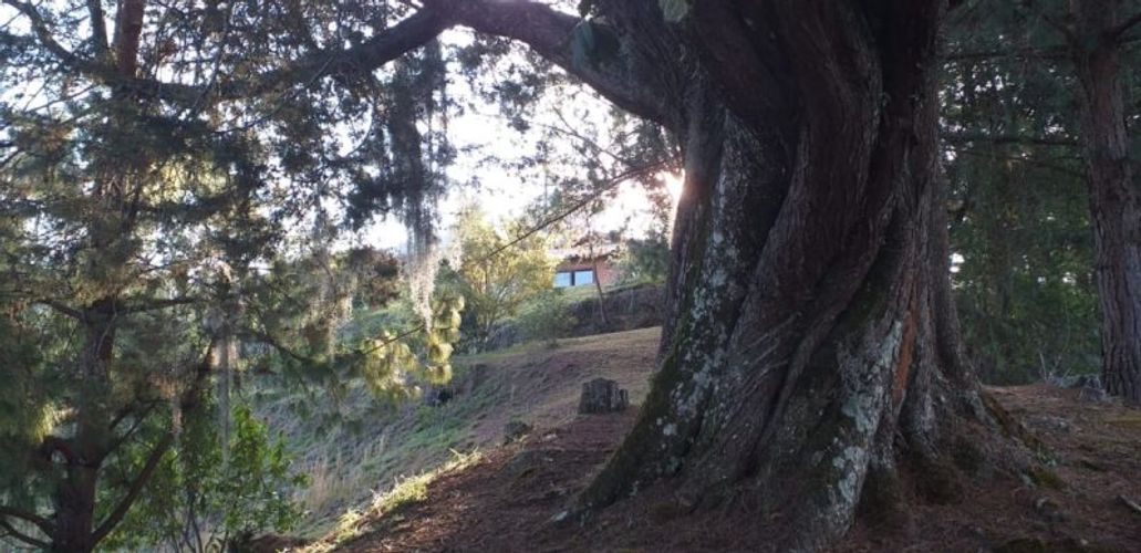 Finca en venta en La convencion, Rionegro - Miniatura 7