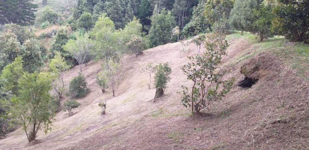 Finca en venta en La convencion, Rionegro - Miniatura 8