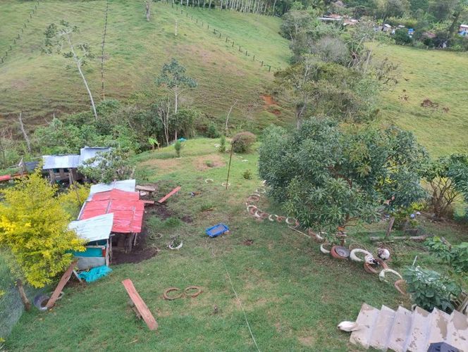 Edificio en venta en Castalia, Jericó - Miniatura 8