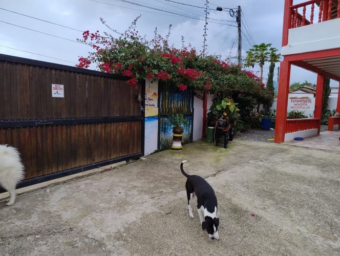 Edificio en venta en Castalia, Jericó - Miniatura 19