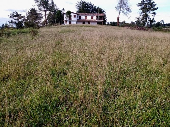 Finca en venta en Los pinos, Rionegro - Miniatura 11