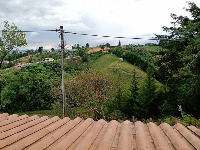 Finca en venta en Los pinos, Rionegro - Miniatura 17