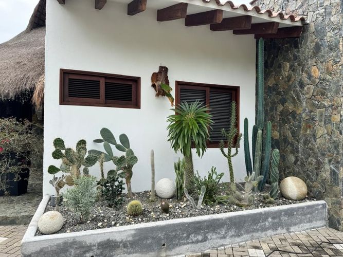 Finca en Venta en Cerro tusa, Venecia - Miniatura 6