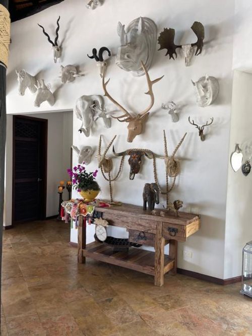 Finca en Venta en Cerro tusa, Venecia - Miniatura 11