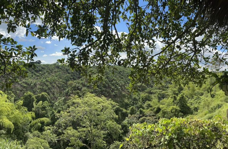 Finca en Arriendo en La rochela, Calarcá - Miniatura 5