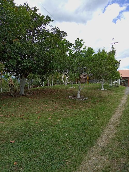 Finca en Arriendo en La rochela, Calarcá - Miniatura 27