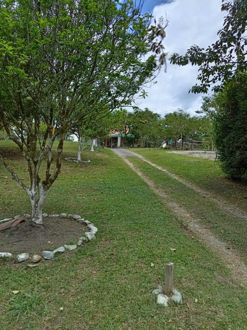 Finca en Arriendo en La rochela, Calarcá - Miniatura 28