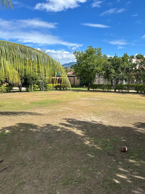 Finca en Venta en Remolino - Miniatura 4