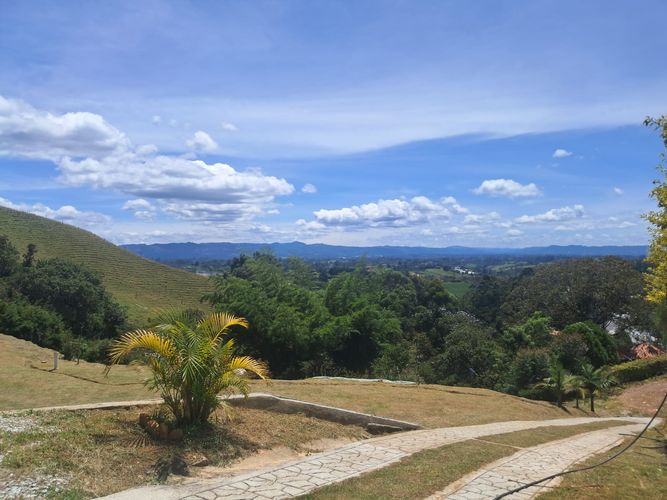 Finca en  Arriendo en El carmen de viboral - Miniatura 4