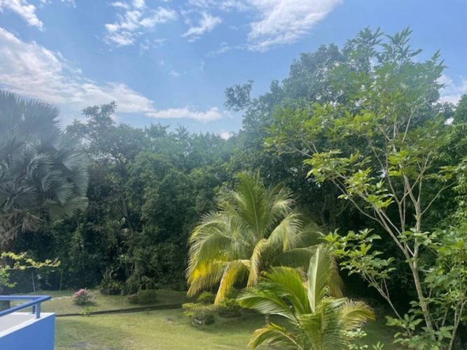Finca en venta en Payande, Villeta - Miniatura 16