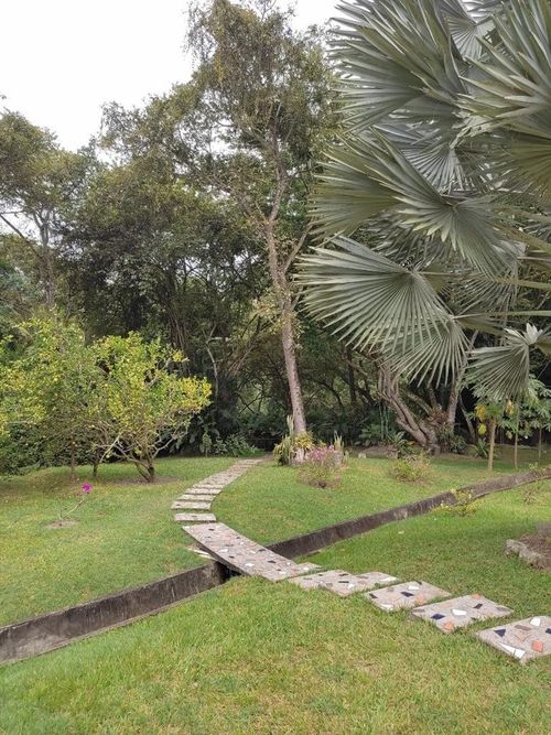 Finca en venta en Payande, Villeta - Miniatura 21