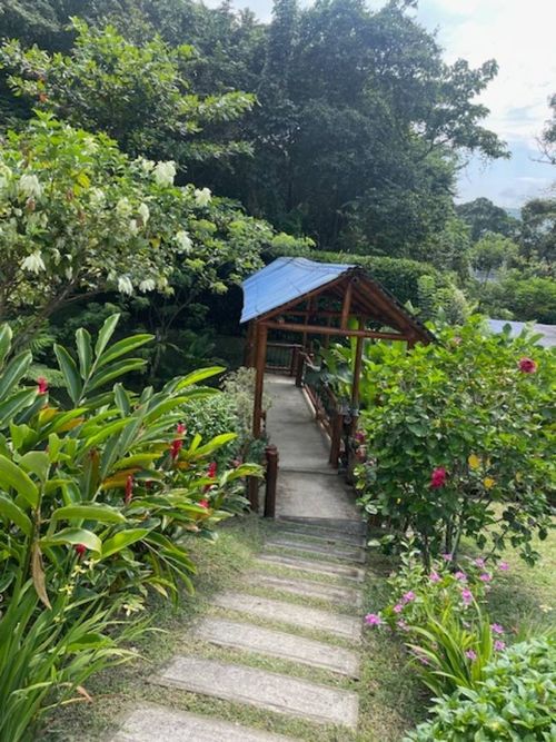 Finca en venta en Payande, Villeta - Miniatura 29