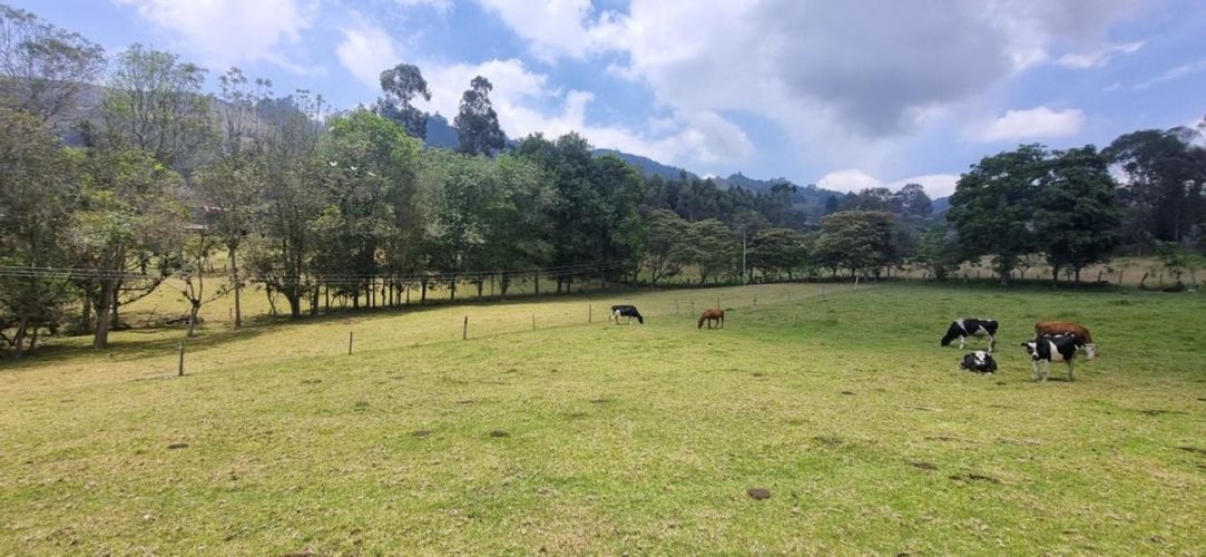 Finca en venta en Pueblo viejo, Zipacon - Imagen 1