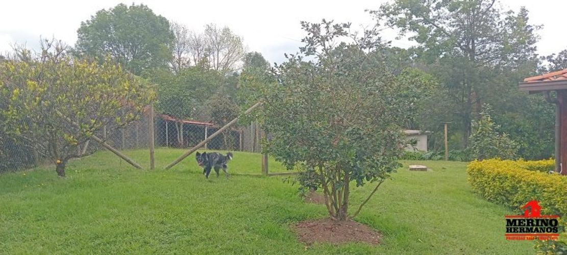 Finca en  Arriendo en San jose, Guarne - Miniatura 8