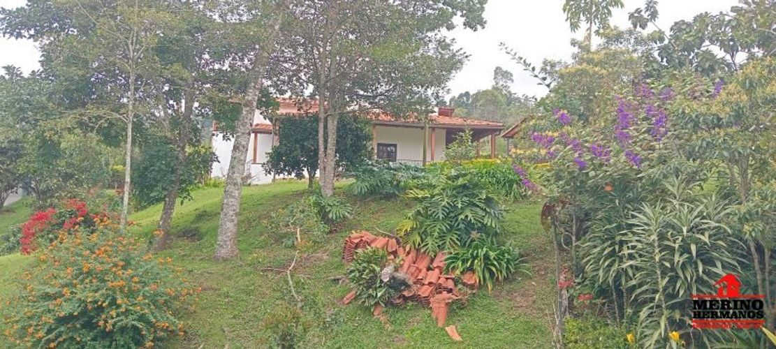Finca en  Arriendo en San jose, Guarne - Miniatura 9