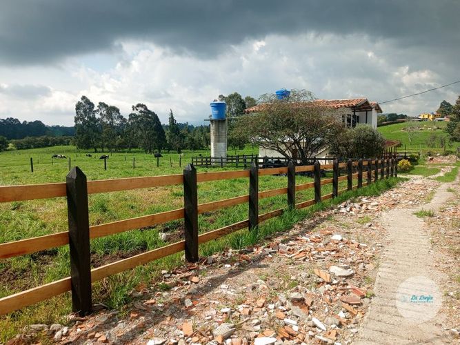 Casa en  Arriendo en Guamito, La ceja - Miniatura 24