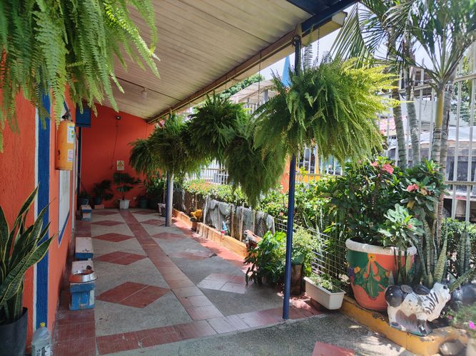Finca en Venta en Ricaurte - Miniatura 17
