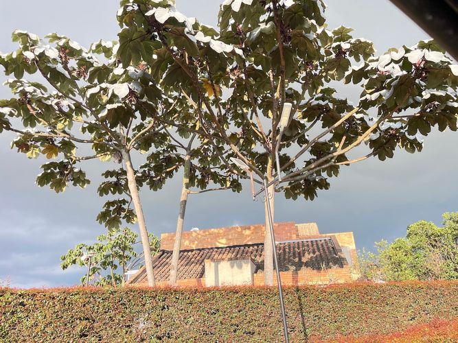 Casa en Venta en Sausalito, Cajicá - Miniatura 20