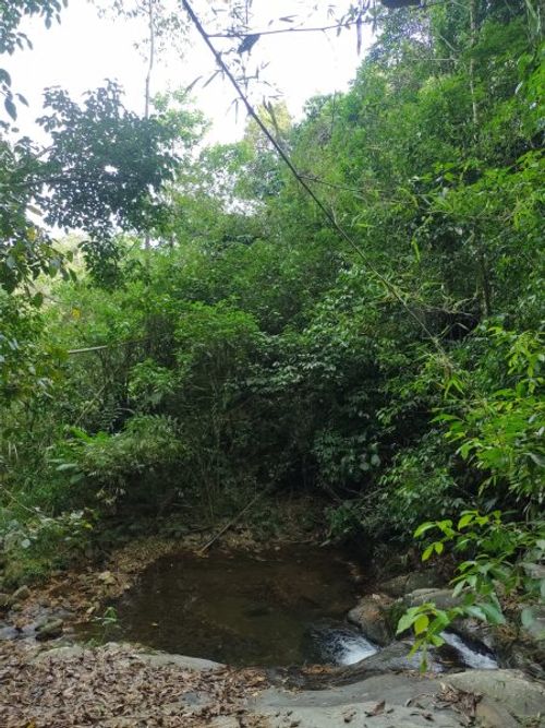 Finca en Venta en Nuevo horizonte, Barbosa - Miniatura 17