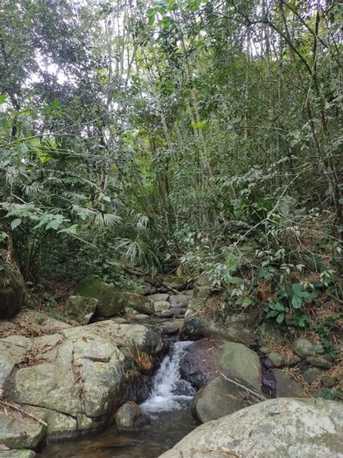 Finca en Venta en Nuevo horizonte, Barbosa - Miniatura 18