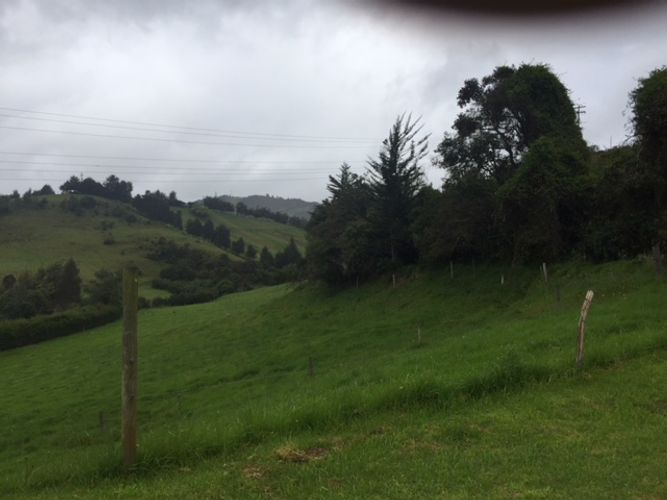 Finca en  Venta en Guasca - Miniatura 3