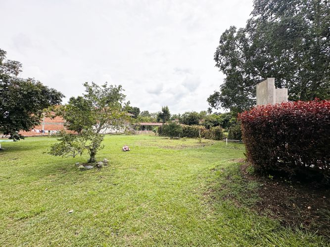 Finca en Venta en El cerrito - Miniatura 12