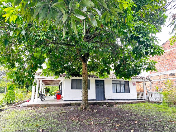 Finca en Venta en El cerrito - Miniatura 13