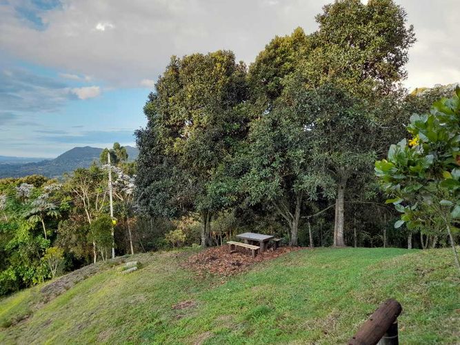 Finca en  Arriendo en El Poblado, La ceja - Miniatura 4