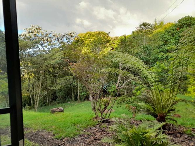 Finca en  Arriendo en El Poblado, La ceja - Miniatura 5