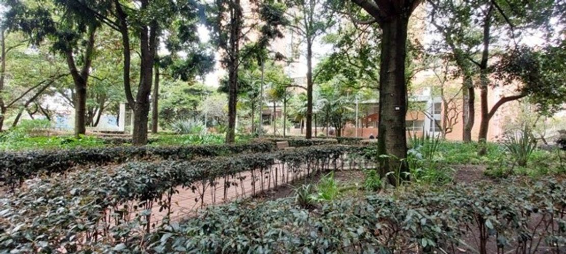 Local en  Arriendo en Centro Internacional, Bogotá - Miniatura 6